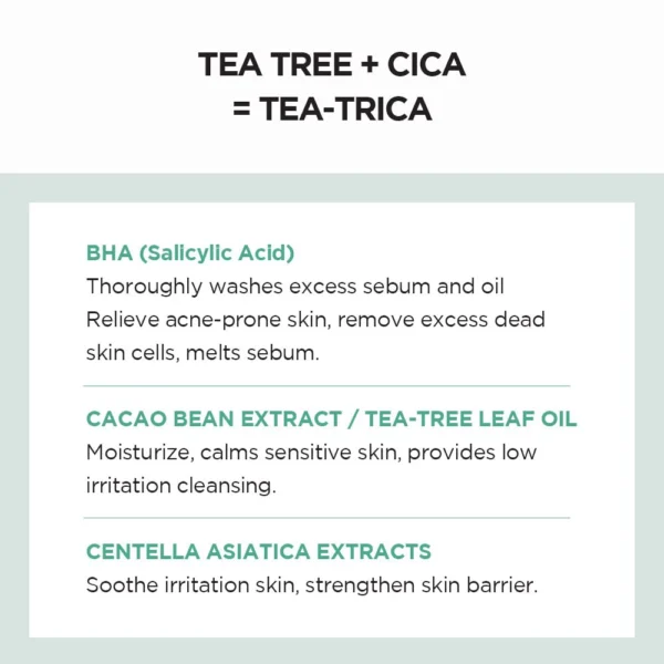 Madagascar Centella Tea-Trica BHA Foam 4.22 fl.oz, 125ml - Image 2