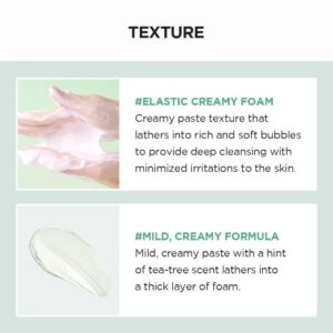 Madagascar Centella Tea Trica BHA Foam 3