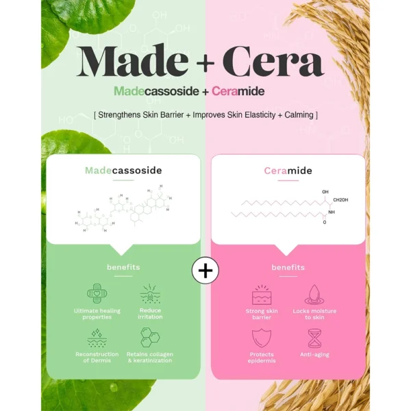 MadeCera Moisturizing Cream | Hydrating & Replenishing Facial Moisturizer for Sensitive Skin, 50ml - Image 4