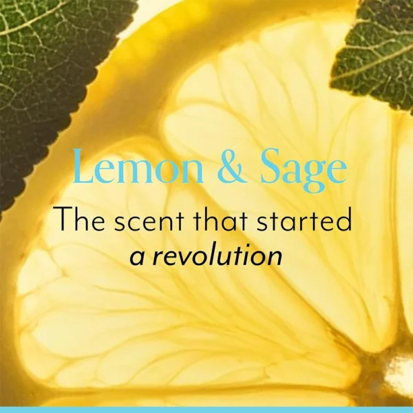 Bliss Lemon and Sage Body Butter – Maximum Moisture Cream – 200ml/6.7 Fl Oz (Pack of 1) - Image 2