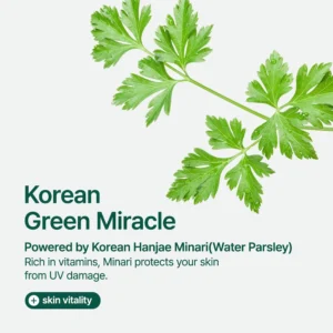 PURITO Sun Day Adventure Korean 3