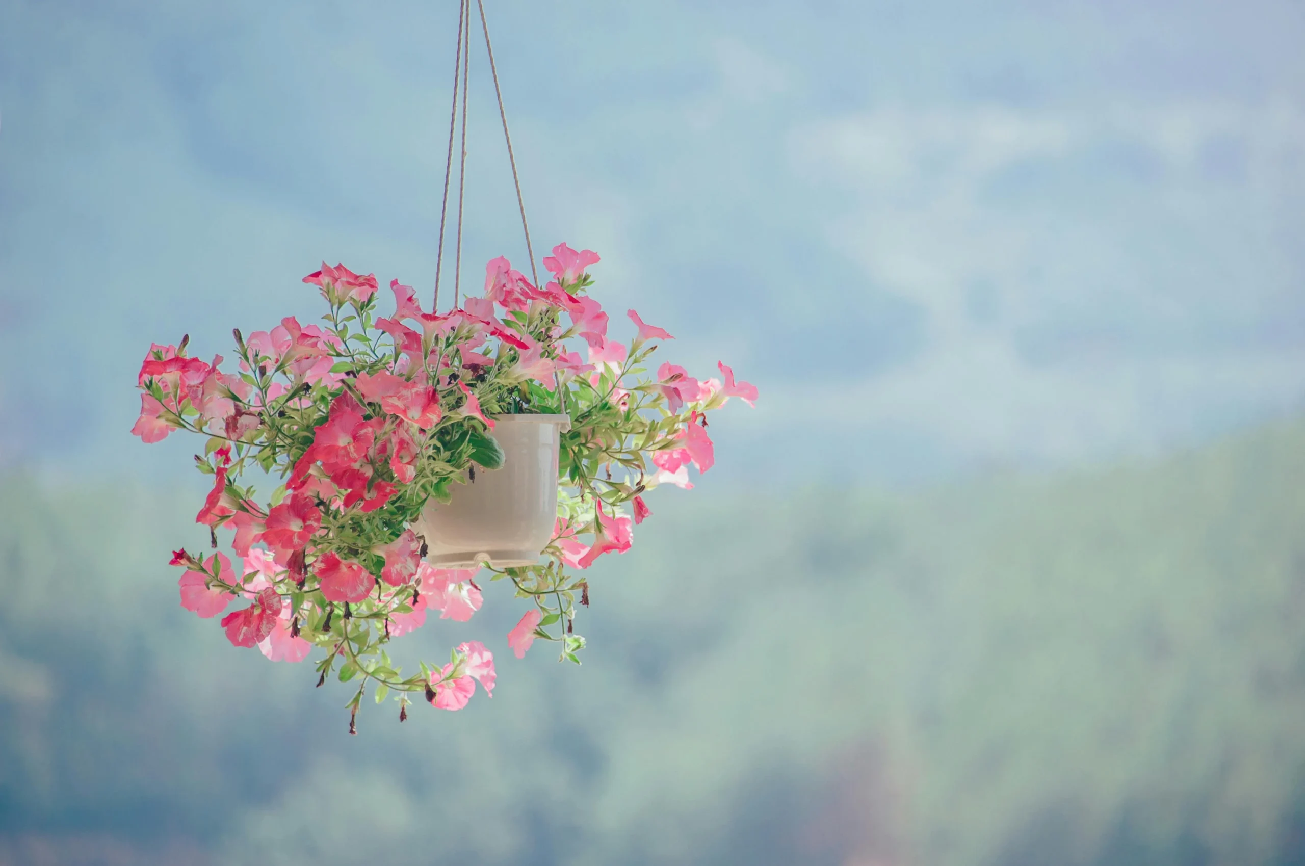 decorate your home with erain